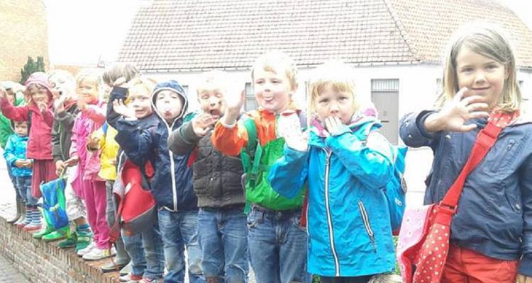 de-sterrebloem